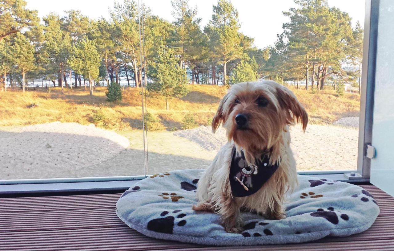 Princess Binz Eksteriør bilde